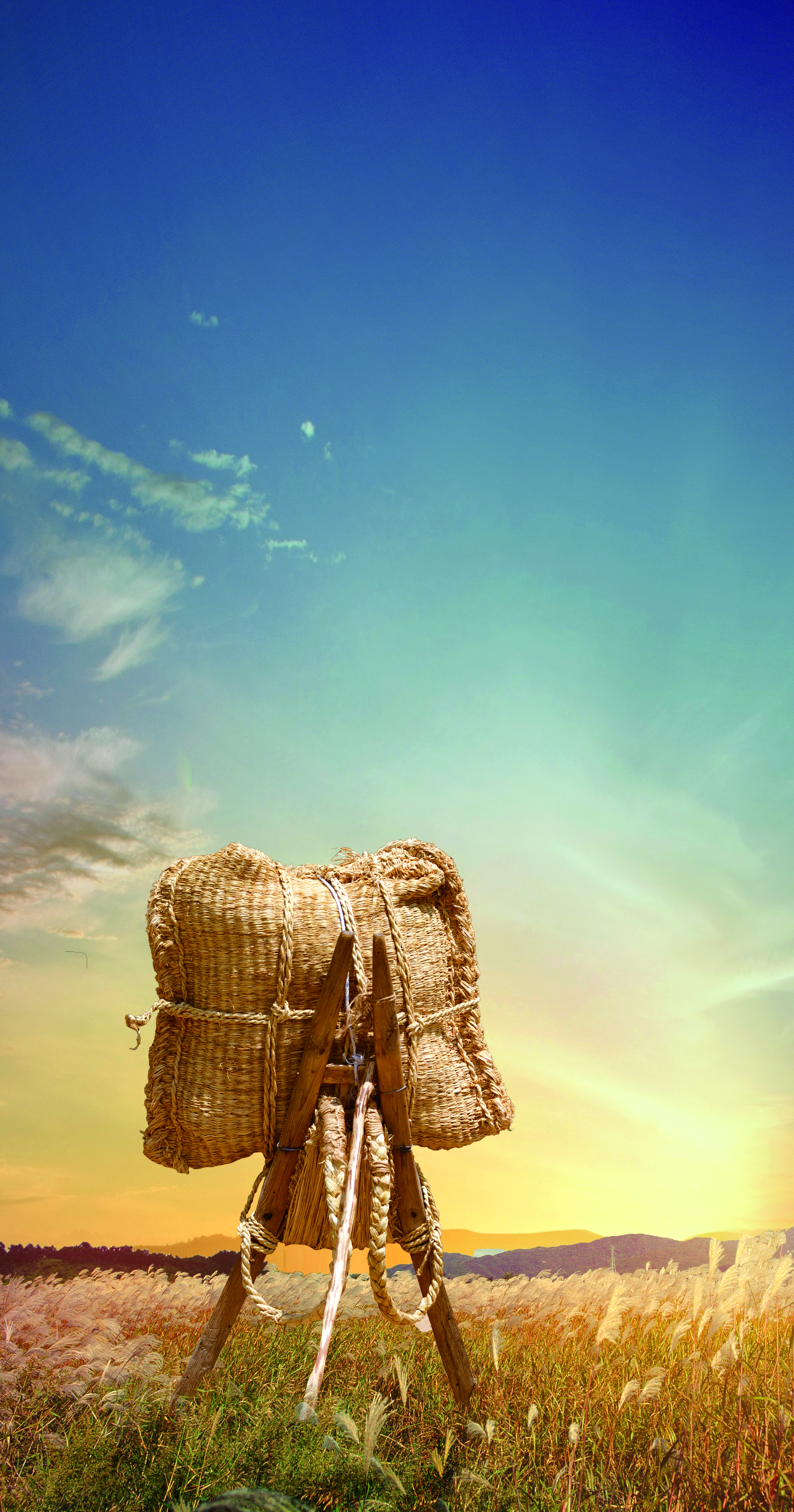 Did the Rice Production Increase Plan Improve the Lives of Korean Farmers?