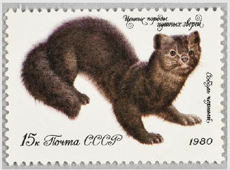 러시아의 검은담비 기념우표 서대문자연사박물관