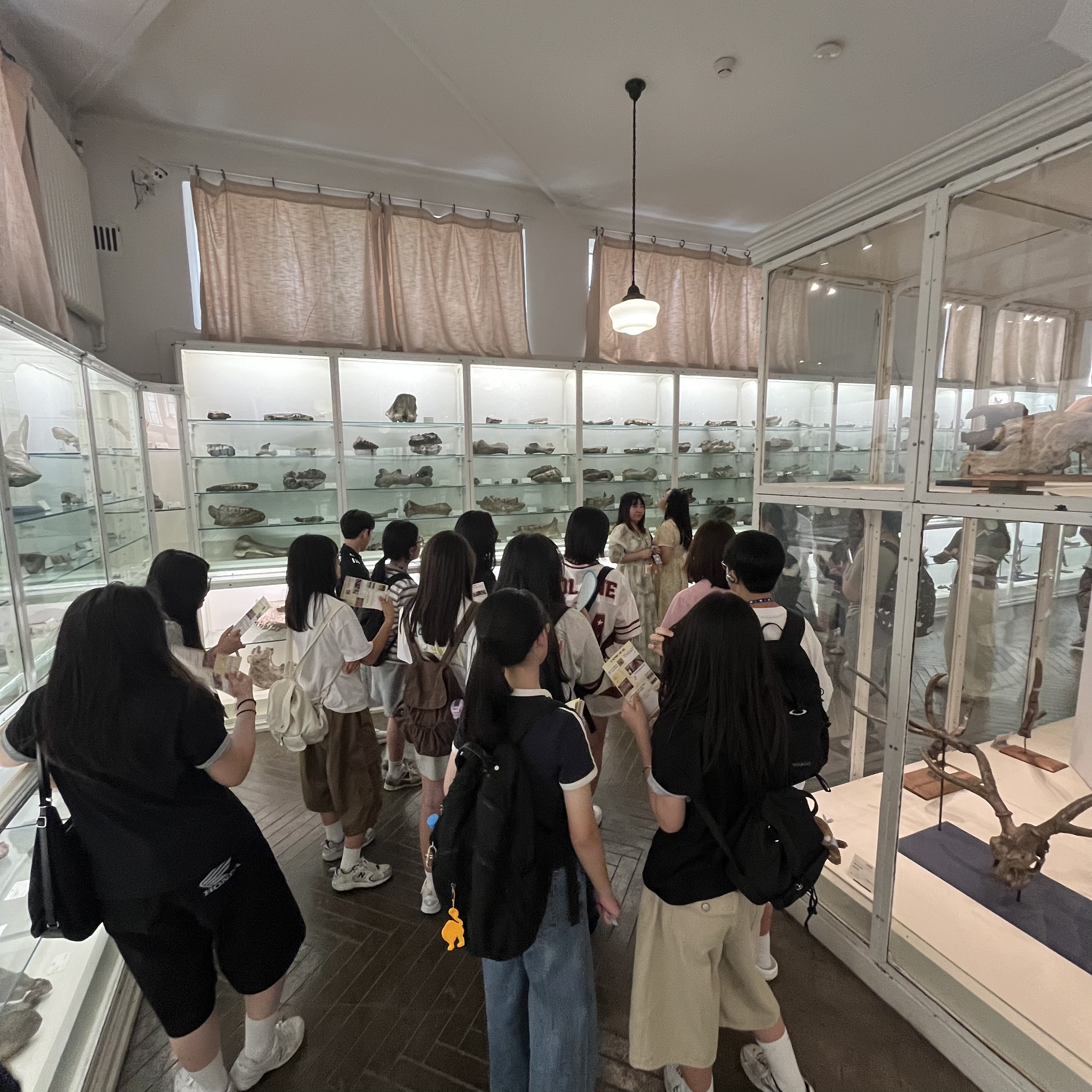 박물관 답사
